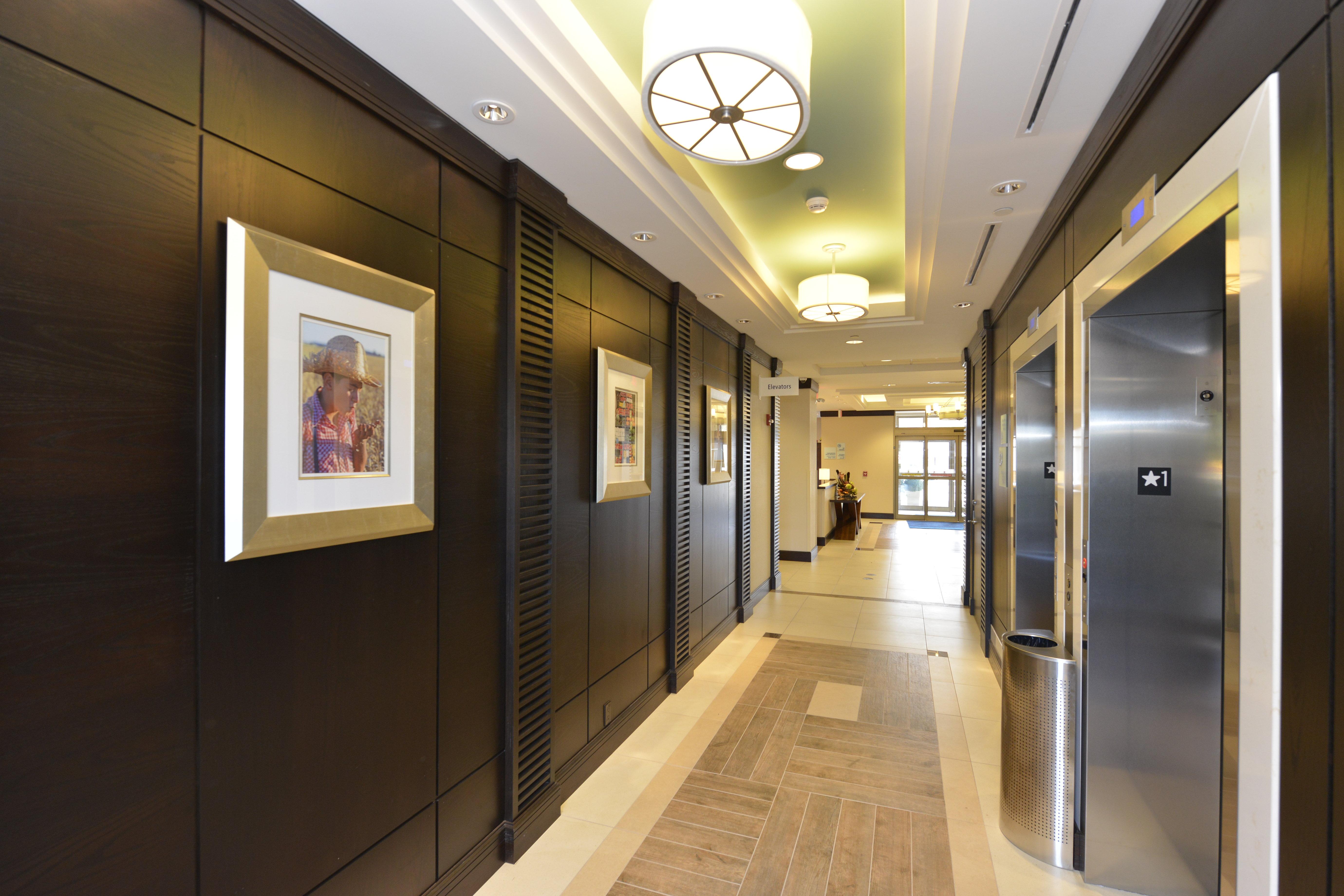 Holiday Inn Express Hotel & Suites Waterloo - St. Jacobs Area By Ihg Exteriér fotografie